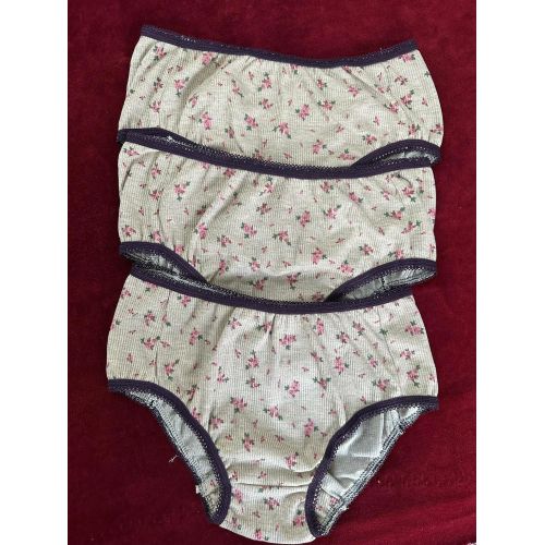 Zecotex Hipster Briefs Cotton Underwear (pack Of 3) Panties For Women