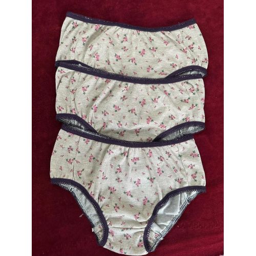 Zecotex Hipster Briefs Cotton Underwear (pack Of 6) Panties For Women