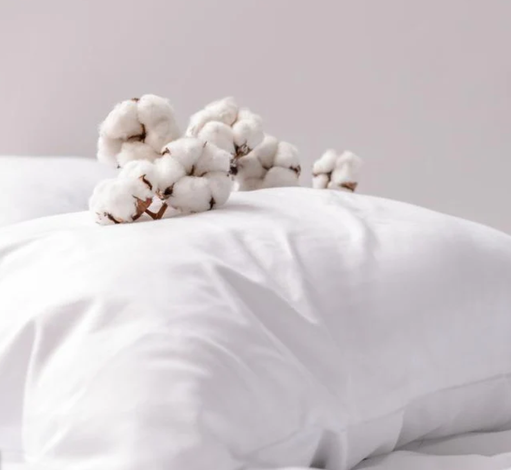 Organic Cotton pillow
