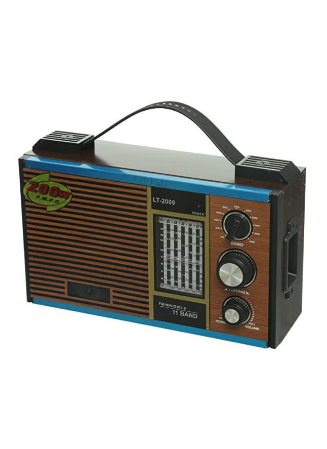 Generic 11 Bands FM Radio Generic Multicolour