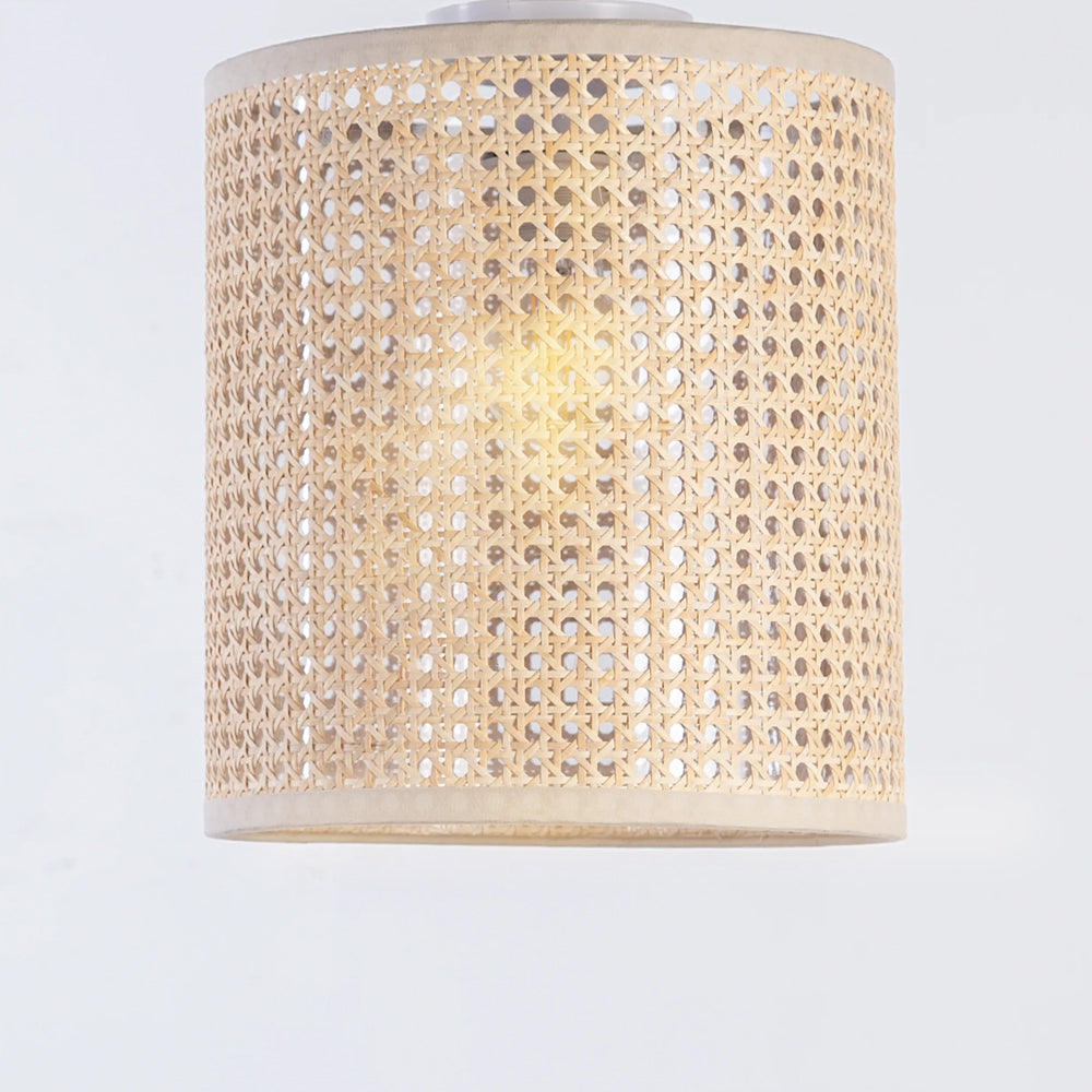ceiling light-193