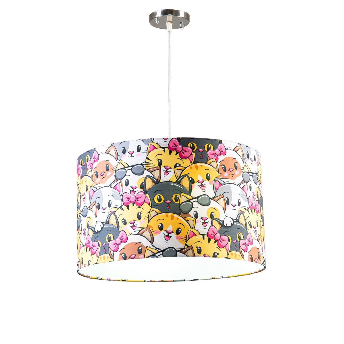 ceiling light-248