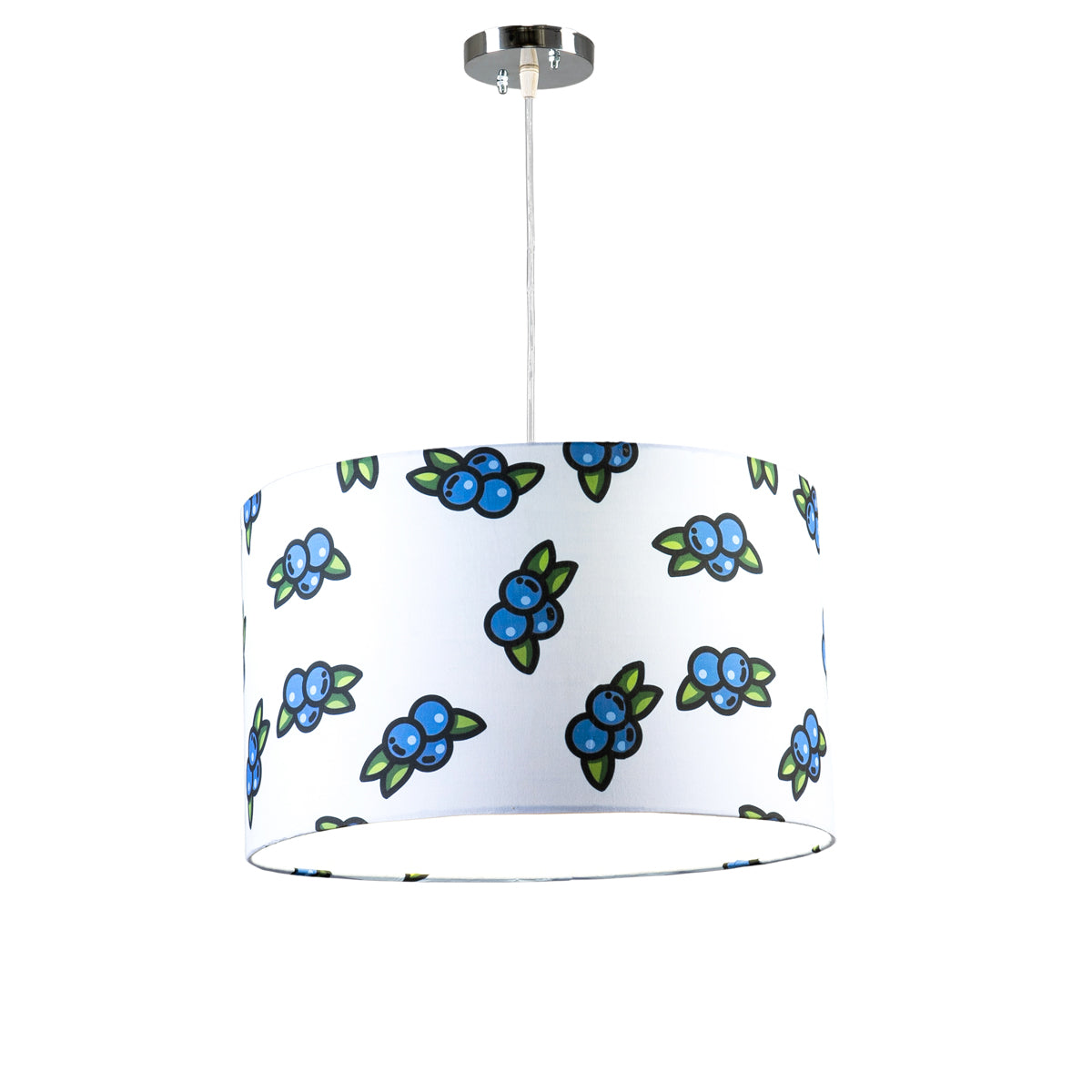 ceiling light-251