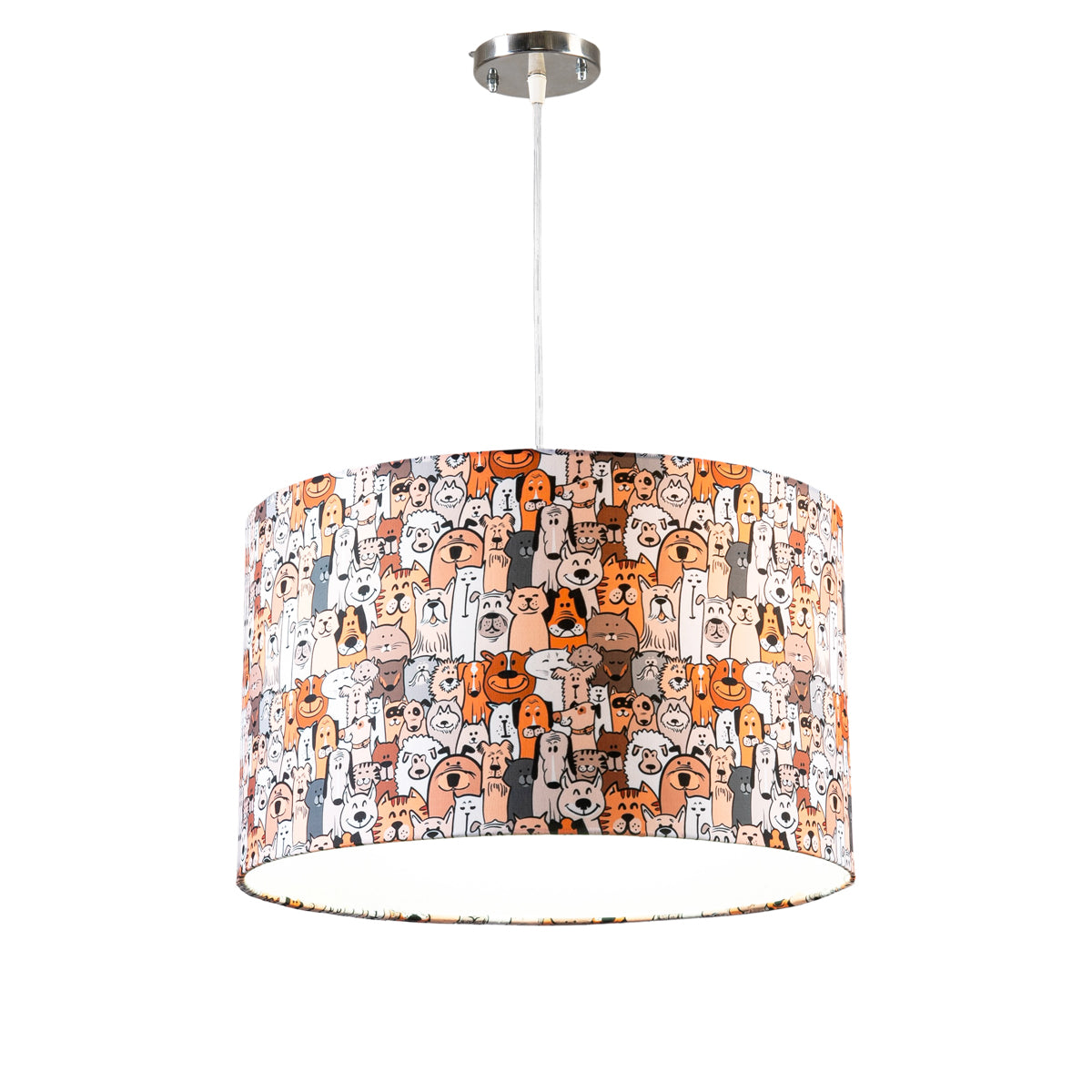 ceiling light-253