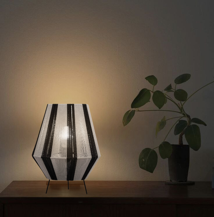 ceiling light-856