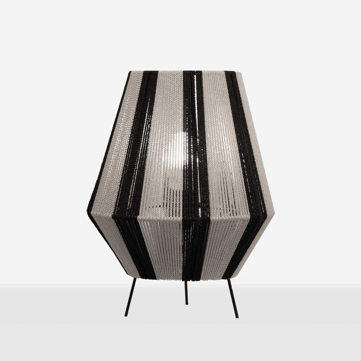 ceiling light-856