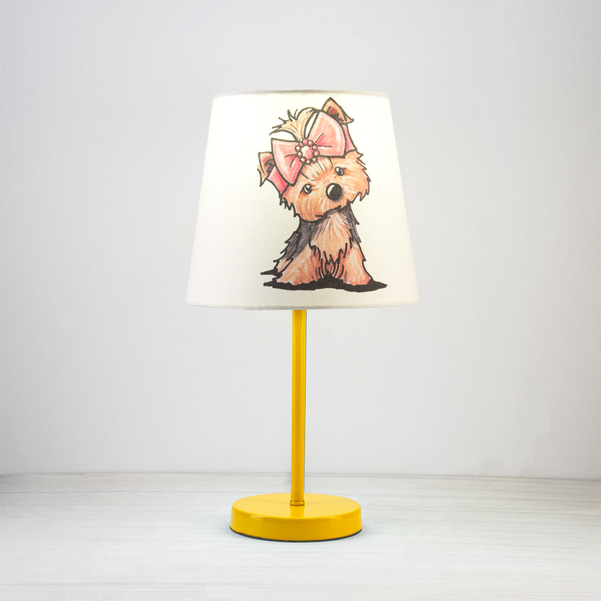 ceiling light-1079