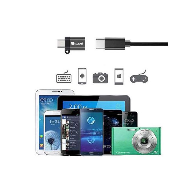Converter Standard OTG 9130T