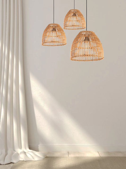 ceiling light-60