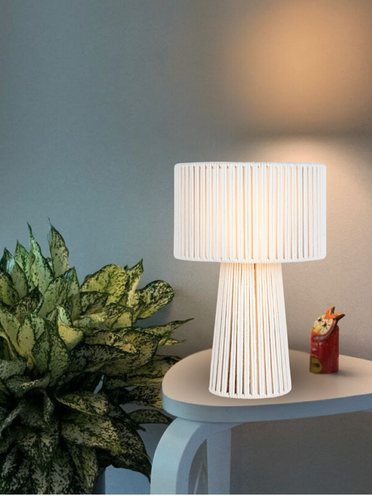 ceiling light-855