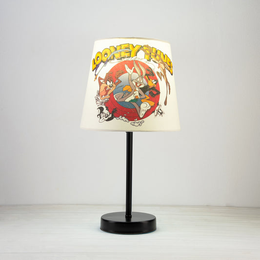 ceiling light-1069