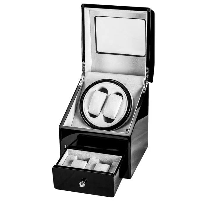 Watch box WWSSB-2B